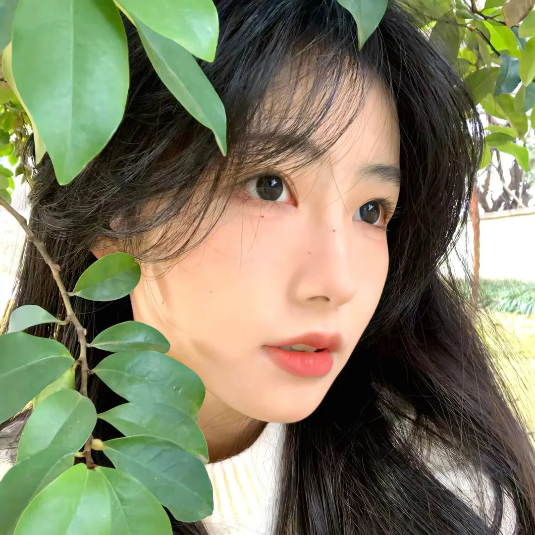 亲情永在